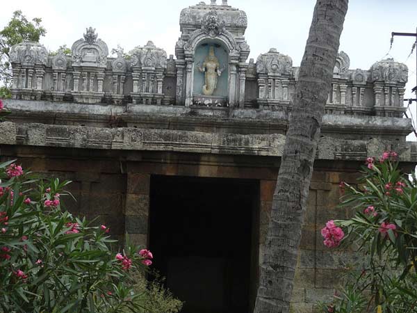 ఇందుకు గల కారాణాలను
