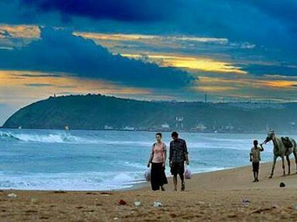 డాల్ఫినోస్