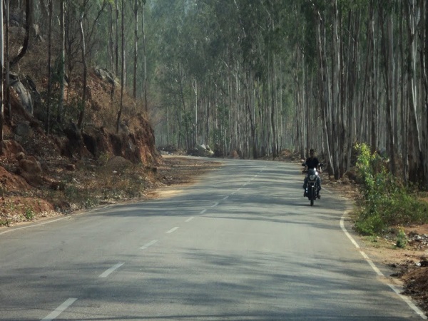 తురహళ్లి అడవులు