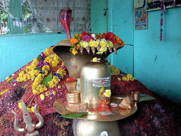 దేవతల వినతి