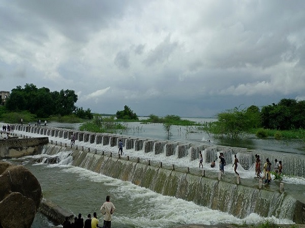 పోచారం డ్యాం, అభయారణ్యం.