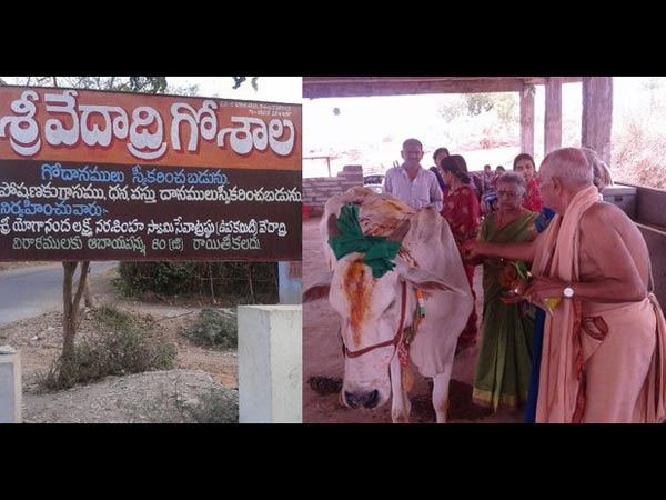 ఐదు వేదాలు నరసింహుడి చెంత