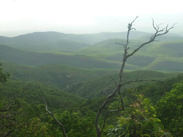 తిరుపతి నుంచి 65 కిలోమీటర్లు