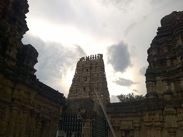 ముసలి దంపతులు
