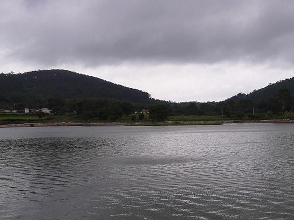 ఎలగిరి