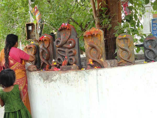 నాగపంచమి