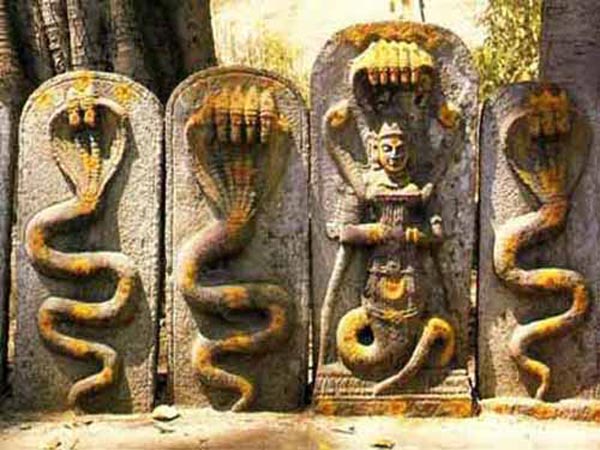 నాగ చంద్రేశ్వర దేవాలయం