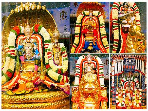 మలయప్ప స్వామి తిరుమల