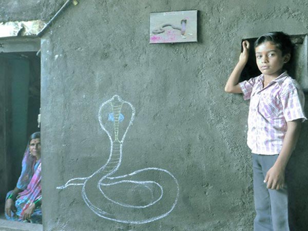 విషపూరితమైనవే ఎక్కువ