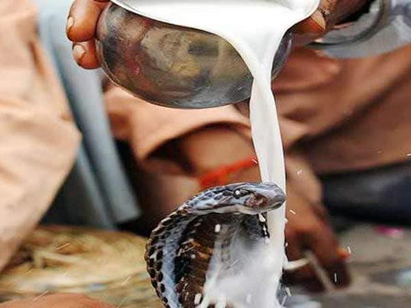 నాగపంచమి
