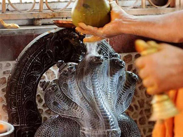 నాగపంచమి