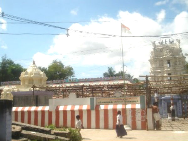 పప్పరపట్టి