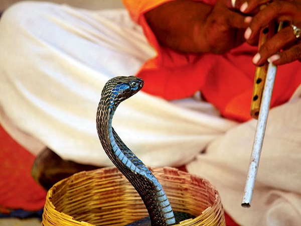 నాగపంచమి