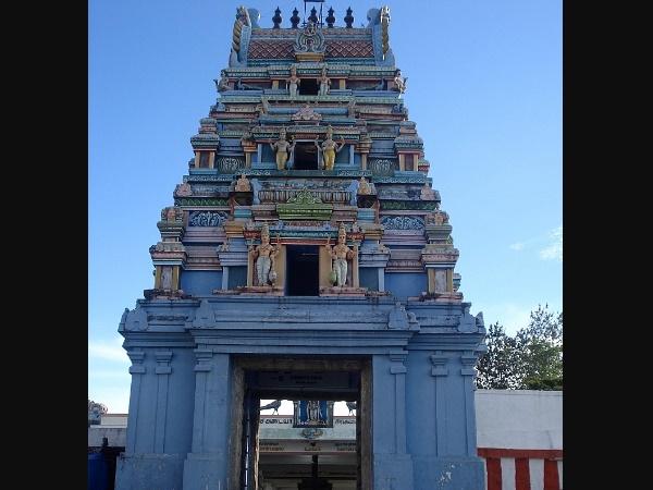 నీల్ కురంజి