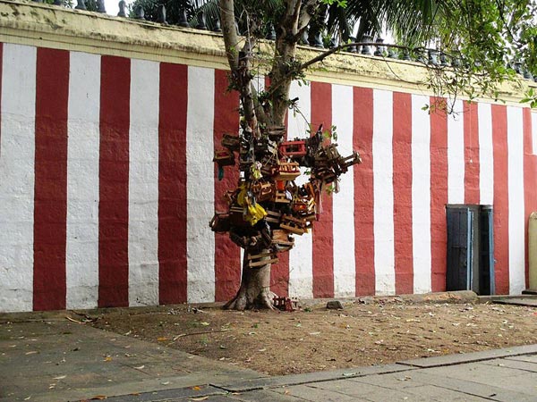 నాగర్ కోయిల్ నాగరాజ దేవాలయం