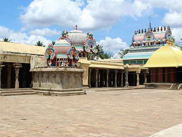 శ్వేతరాయనేశ్వర దేవాలయం, తమిళనాడు