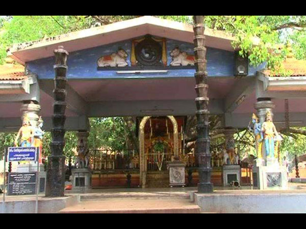 మొదట చెక్కతో