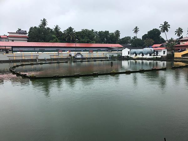 అన్నప్రాశన