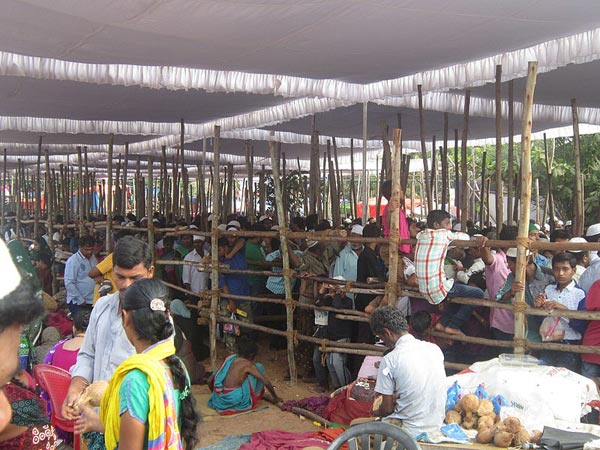 రొట్టెల పండుగ, నెల్లూరు