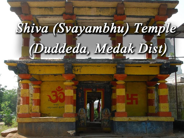 దుద్దెడ గ్రామంలో శ్రీ స్వయం భూ లింగేశ్వరుడు