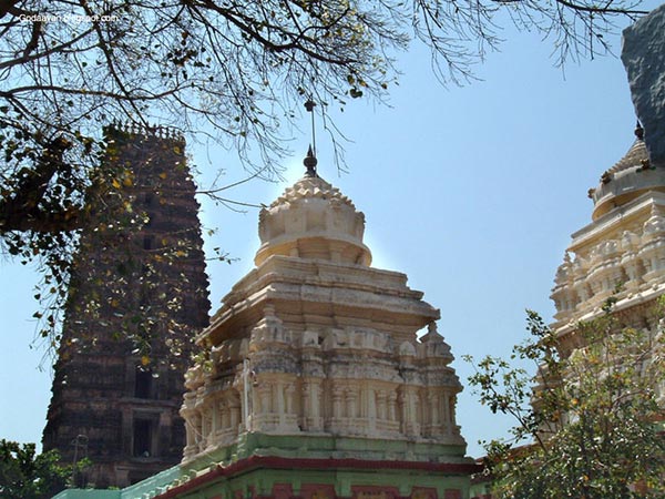 పానకాల నరసింహ స్వామి