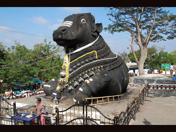 చాముండి బెట్ట