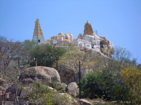 తెలంగాణ తిరుపతి, మన్యం కొండ