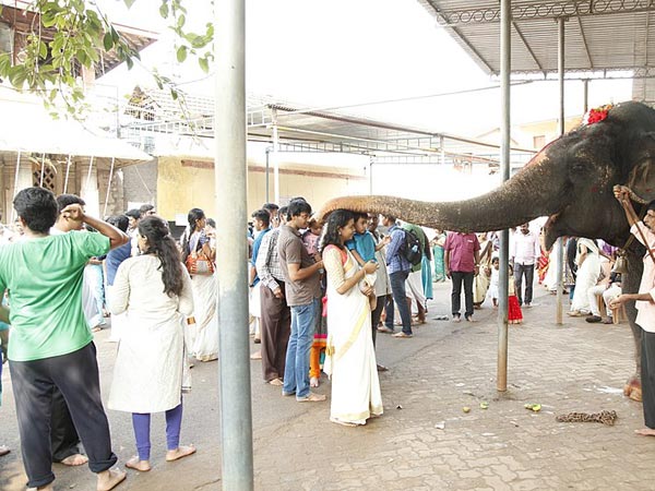 కొల్లూరు మూకాంబిక దేవి