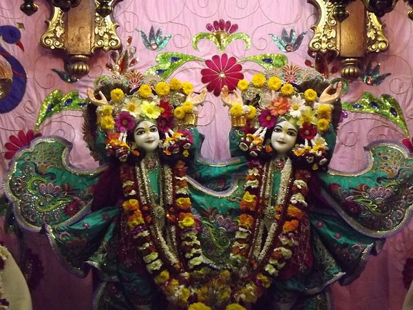 జంతువులు, పక్షులు కూడా