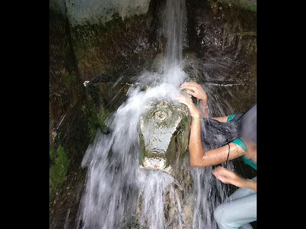కాకులు కనిపించవు.