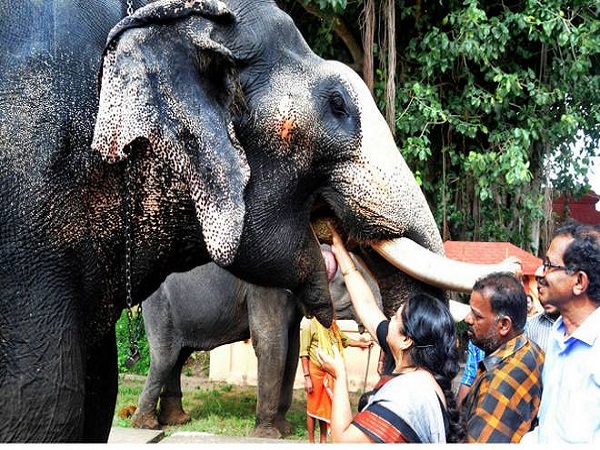 గురువాయూరు, కేరళ