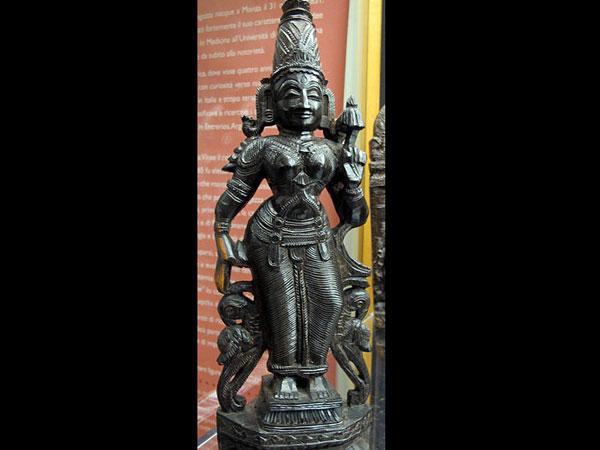 బీబీనాంచారమ్మ, తిరుమల