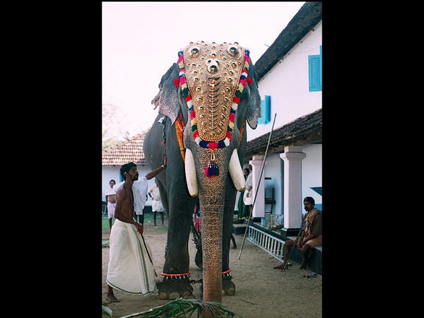స్వర్గారోహణ సమయంలో
