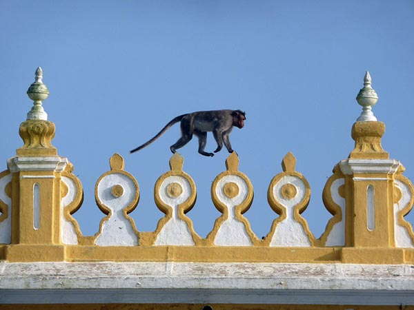 చాముండి హిల్స్