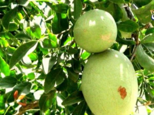 శివలింగం ఆకారంలో