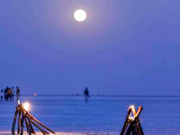 రాణ్ ఆఫ్ కచ్, రణ్ ఉత్సవ్