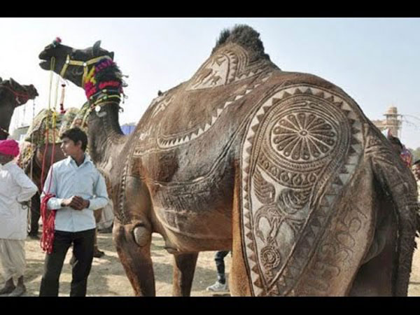 పుష్కర్ మేళ 2018