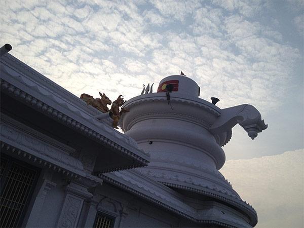 సిరిచెల్మ మల్లన్న దేవాలయం