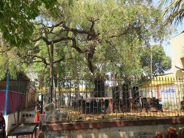 ఆ మూడు నక్షత్రరాసుల వారు