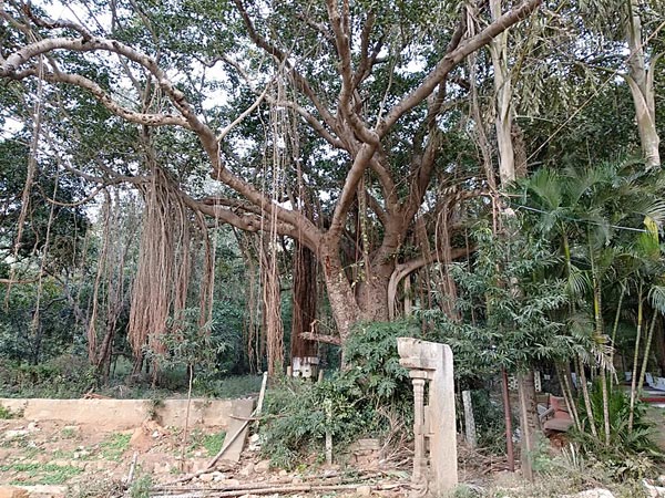 శ్రీ కాళహస్తీశ్వర దేవాలయం, శ్రీకాళహస్తి