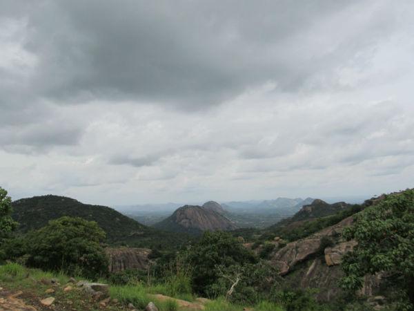 మారిబెట్ట