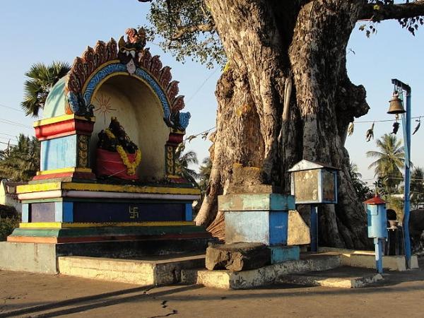 పడగలింగస్వామీ దేవాలయం, తమిళనాడు