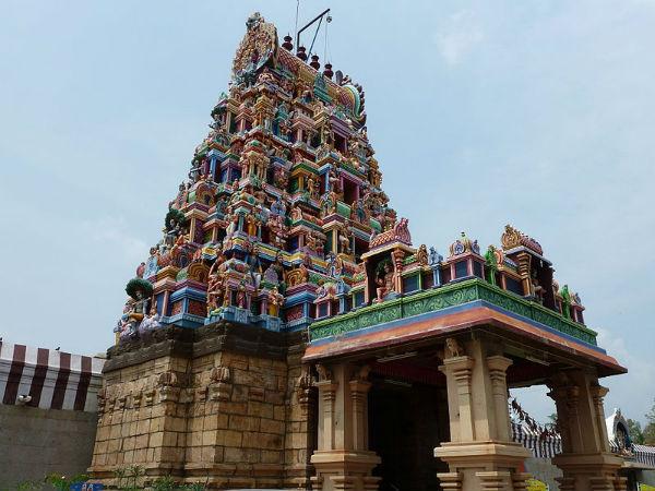 అన్నిరకాల రోగాలు నయమవుతాయి