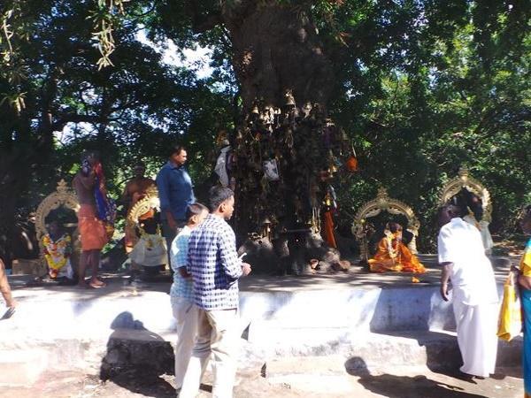 సూరిముత్తు అయ్యనార్ దేవాలయం