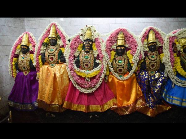 శ్రీముష్నం, భూ వరాహస్వామి