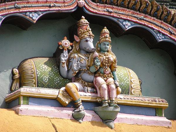 శ్రీముష్నం, భూ వరాహస్వామి