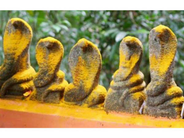 7. అగసనహల్లి నాగప్ప: