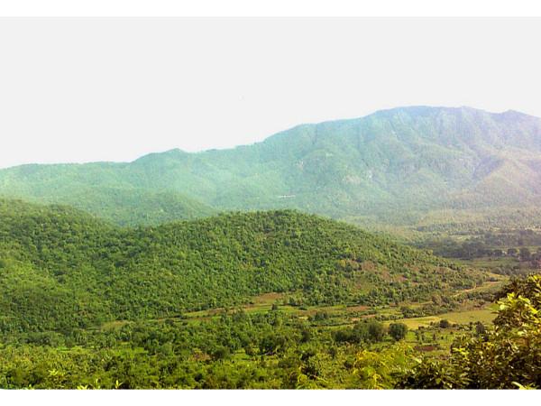 పర్యాటకులను ఆకర్షించడం కోసం