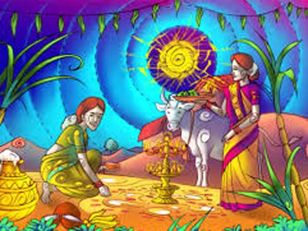 కోడి పందేలా మాట అటుంచితే