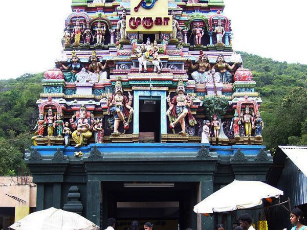 పజముదిర్ చోలై: